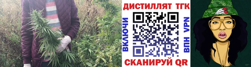 Дистиллят ТГК вейп  Купить где  Мирный 